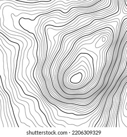 Stylized height of the topographic contour map in contours. Abstract background. Digital copy earth space. Concept of a conditional geography scheme and the terrain path. 1:1 size. Vector illustration