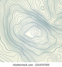 Stylized height of the topographic contour map in contours. Abstract background. Digital copy earth space. Concept of a conditional geography scheme and the terrain path. 1:1 size. Vector illustration