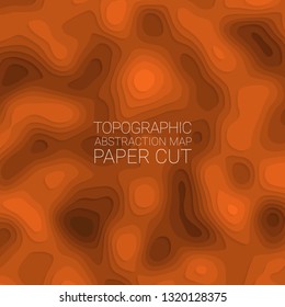 Stylized height of topographic contour in the style of paper cutting. The concept of conditional geographic patterns and terrain. Abstract background. Vector illustration