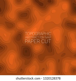 Stylized height of topographic contour in the style of paper cutting. The concept of conditional geographic patterns and terrain. Abstract background. Vector illustration