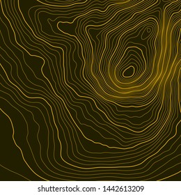 The stylized height of the topographic map contour in lines and contours. The concept of a conditional geography scheme and the terrain path. Orange lines on a dark background. Vector illustration.