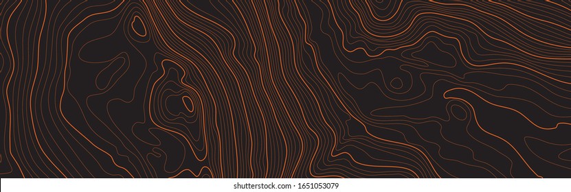 The stylized height of the topographic map contour in lines and contours. The concept of a conditional geography scheme and the terrain path. Orange on black. Ultra wide size. Vector illustration.