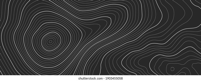 The stylized height of the topographic map contour in lines and contours. The concept of a conditional geography scheme and the terrain path. Ultra wide size. Vector illustration.