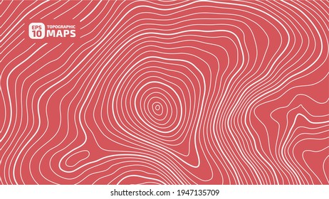 The stylized height of the topographic map contour in lines and contours. The concept of a conditional geography scheme and the terrain path. Wide Size. Vector illustration.