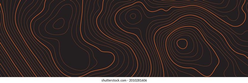 The stylized height of the topographic map contour in lines and contours. The concept map of a conditional geography scheme and the terrain path. Isolated Object. Ultra Wide size. Vector illustration.