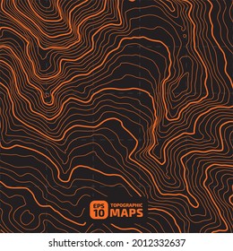 Stylized height of the topographic map in contour, lines. The concept of a conditional geography scheme and the terrain path. Design materials. Print image. Abstract background. Vector illustration