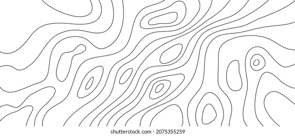 The stylized height of the topographic map contour in lines and slim contours. Black on white. Concept of a conditional geography scheme and the terrain path, earth. Wide Size. Vector illustration.