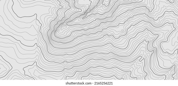 Altura estilizada del contorno del mapa topográfico en líneas y contornos delgados. Negro sobre blanco. Concepto de un esquema geográfico condicional y el camino del terreno, la tierra. De Tamaño Ultra Grande. Ilustración vectorial.