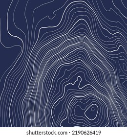 Stylized Height Topographic Map Contour Lines Stock Vector (Royalty ...