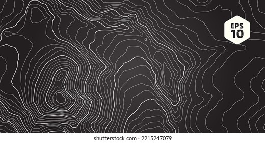 The stylized height of the topographic map contour in lines and contours. Marine watershed. The concept of a conditional geography scheme and the water path. Wide size. Vector illustration.