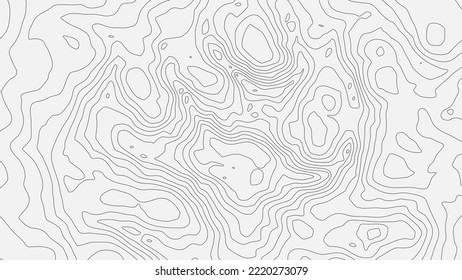 The stylized height of the topographic map contour in lines and contours. Black on gray. The concept of a conditional geography scheme and the terrain path. Wide Size. Vector illustration.