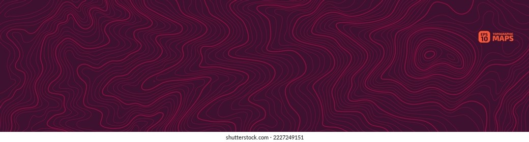 The stylized height of the topographic map contour in lines and contours. The concept of a conditional geography scheme and the terrain path. Ultra wide size. Vector illustration.