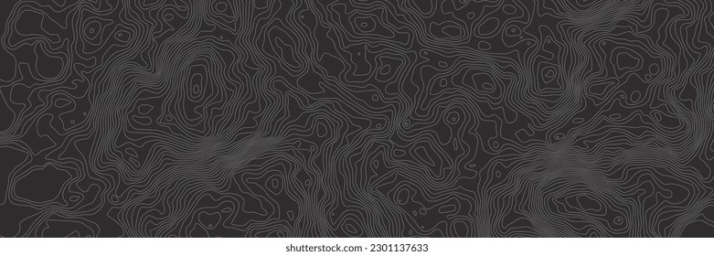 Die stilisierte Höhe der topographischen Kartenkontur in Linien und Strichgrau. Konzept eines bedingten Geografie-Schemas und Geländeweges. Texturhintergrund. Ultra große Größe. Vektorgrafik