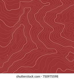 The stylized height of the topographic map contour in lines and contours. The concept of a conditional geography scheme and the terrain path. Vector illustration.