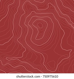The stylized height of the topographic map contour in lines and contours. The concept of a conditional geography scheme and the terrain path. Vector illustration.