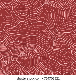 The stylized height of the topographic map contour in lines and contours. The concept of a conditional geography scheme and the terrain path. Vector illustration.