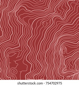 The stylized height of the topographic map contour in lines and contours. The concept of a conditional geography scheme and the terrain path. Vector illustration.