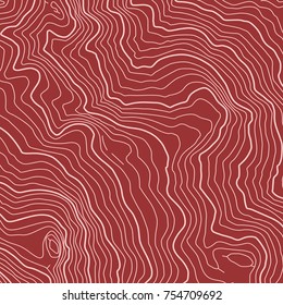 The stylized height of the topographic map contour in lines and contours. The concept of a conditional geography scheme and the terrain path. Vector illustration.