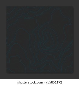 The stylized height of the topographic map contour in lines and contours. The concept of a conditional geography scheme and the terrain path. Vector illustration.