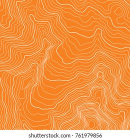 The stylized height of the topographic map contour in lines and contours. The concept of a conditional geography scheme and the terrain path. Vector illustration.