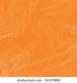 The stylized height of the topographic map contour in lines and contours. The concept of a conditional geography scheme and the terrain path. Vector illustration.