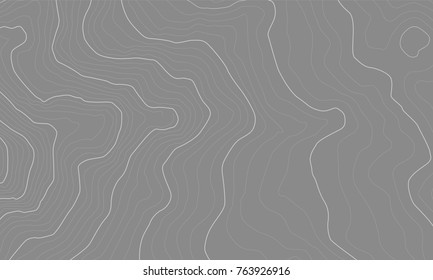 The stylized height of the topographic map contour in lines and contours. The concept of a conditional geography scheme and the terrain path. Vector illustration.
