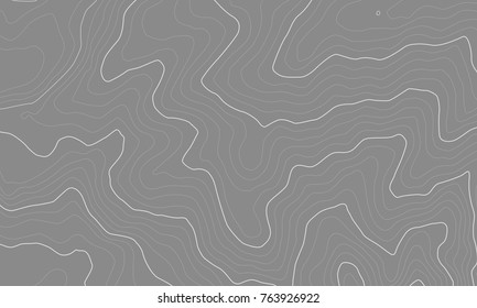 The stylized height of the topographic map contour in lines and contours. The concept of a conditional geography scheme and the terrain path. Vector illustration.