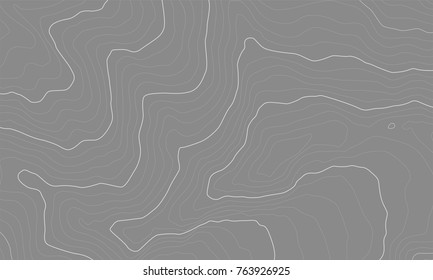 The stylized height of the topographic map contour in lines and contours. The concept of a conditional geography scheme and the terrain path. Vector illustration.