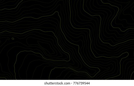 The stylized height of the topographic map contour in lines and contours. The concept of a conditional geography scheme and the terrain path. Vector illustration.