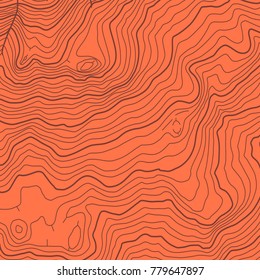The stylized height of the topographic map contour in lines and contours. The concept of a conditional geography scheme and the terrain path. Vector illustration.