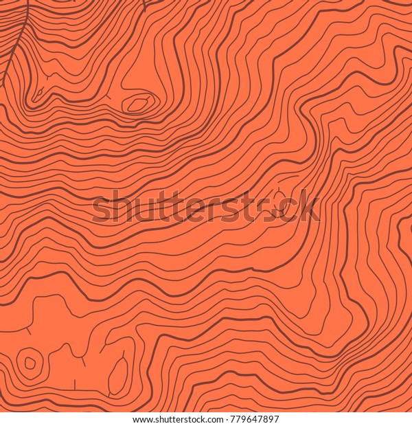 Stylized Height Topographic Map Contour Lines Stock Vector (Royalty ...