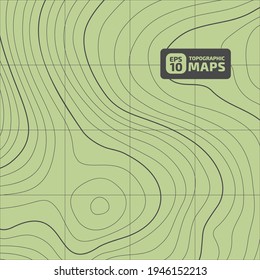 The stylized height of the topographic map. in shades of green contour in lines and contours. The concept of a conditional geography scheme and the terrain path. Wide Size. Vector illustration.