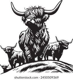 Stylized Highland Cow vector illustration, perfect for agricultural and travel themes. Features iconic shaggy coat and horns, available in color and black and white for diverse applications.