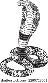 Stylized highly detailed snake cobra. Line art, sketch style