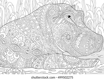 Stylized hippopotamus (hippo) swimming among water lilies (lotus flowers) and pond algae. Freehand sketch for adult anti stress coloring book page with doodle and zentangle elements.