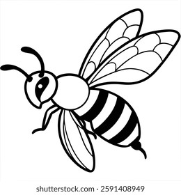 Stylized honey bee  on  white background  vector art illustration 