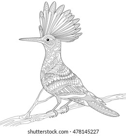 Stylized hoopoe bird (Upupa epops) sitting on tree branch, isolated on white background. Freehand sketch for adult anti stress coloring book page with doodle and zentangle elements.