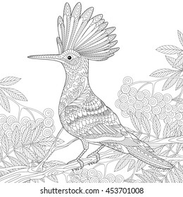 Stylized hoopoe (Upupa epops) sitting on tree branch among rowan berries.
Freehand sketch for adult anti stress coloring book page with doodle and zentangle elements.