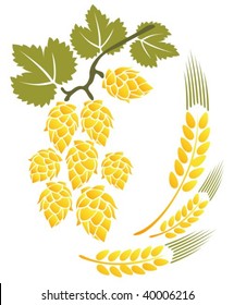Stylized hop and wheat isolated on a white background.
