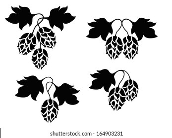 stylized hops vector set