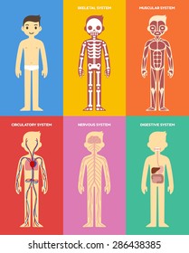 Full Human Body Chart Activity