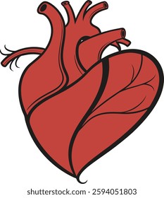 Stylized Human Heart Vector, Red and Black, High-Quality Medical Design for Health Illustrations