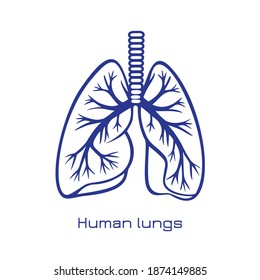 Stylized human lungs. Minimalist design logo of human lungs. Vector illustration. 