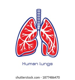 Stylized human lungs. Minimalist design logo of human lungs. Vector illustration. 
