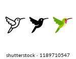 Stylized hummingbird icon or logo in different styles: line art, solid black and color. Isolated colibri symbol vector illustration.