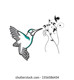 Stylized hummingbird icon or logo in different styles: line art, solid black and color. Isolated colibri symbol vector illustration.