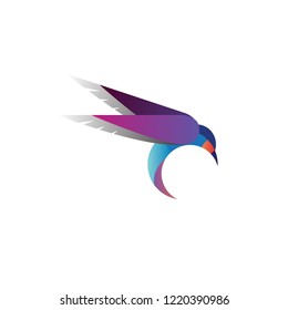 Stylized Hummingbirds or Colibri with colorful artistic ornament, good for logo, icon, t-shirt, mascot, or even a poster