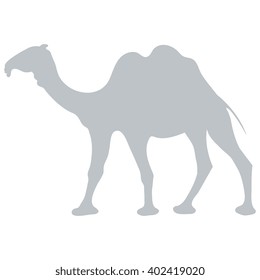 Stylized icon of a colored camel on a white background