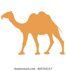 Stylized icon of a colored camel on a white background