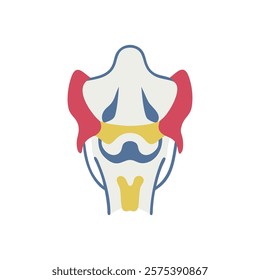 Stylized Icon of Ethmoid Bone Anatomy